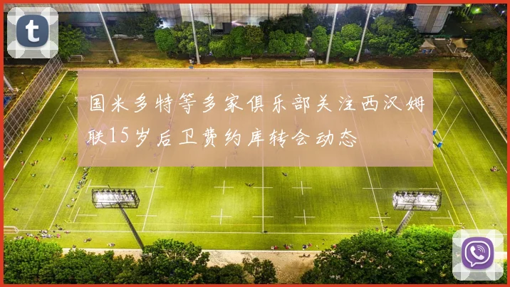 国米多特等多家俱乐部关注西汉姆联15岁后卫费约库转会动态