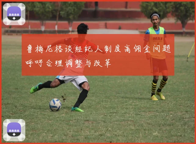 鲁梅尼格谈经纪人制度高佣金问题呼吁合理调整与改革